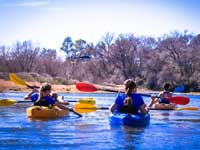 Rising Phoenix Adventures