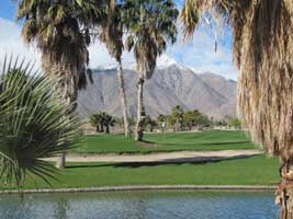 The Springs at Borrego golf Course