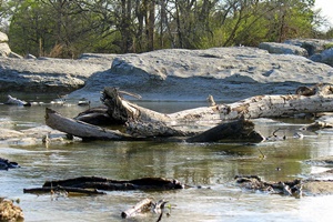 McKinney Falls State Park