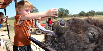 Exotic Ranch Zoo