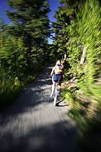 Biking thru the trees