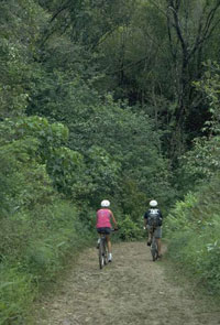 Biking trail in Texas