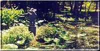 One of the many UMLAUF sculptures at the garden in Zilker Park.