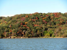 Lake Bridgeport Shoreline