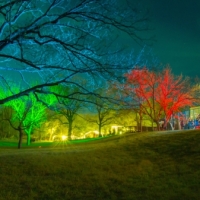 Old Settlers Music Festival