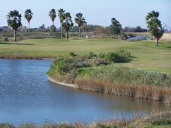 Golfing in Galveston