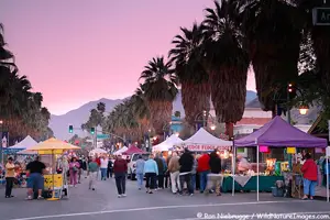 Palm Springs street fair
