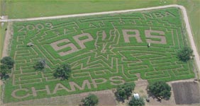 Maize at Graff Family Farm