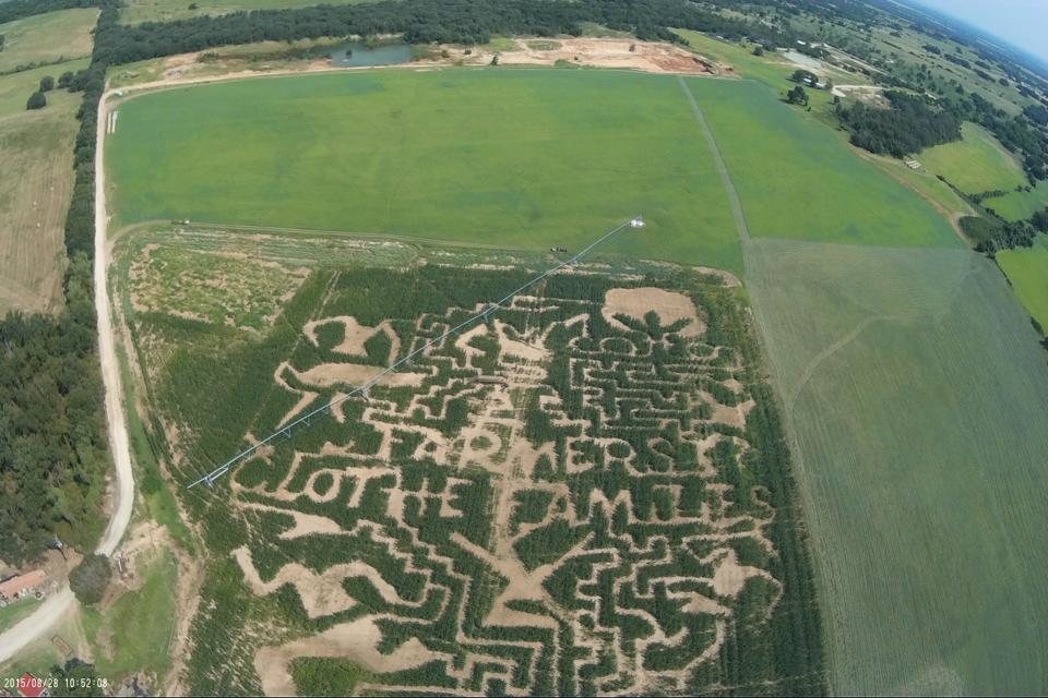 Lone Star Family Fun