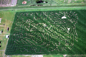 Rocky Creek Maze