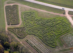 Sweet Berry Farm