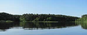 Beautiful cove and calm water on Toledo Bend Lake