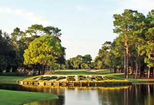#17 at Copperhead at Innisbrook