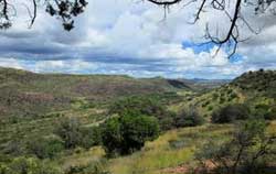 Davis Mountains Trail