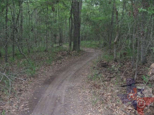 Piney Woods Trail