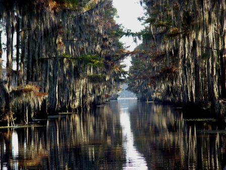 Caddo Lake