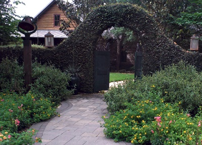 Fall Creek Vineyards at Driftwood