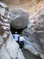 Crawling under the rocks and up the river bed