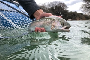 Reel Fly Fishing Adventures