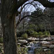 Dallas Arboretum