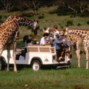 Fossil Rim Wildlife Center