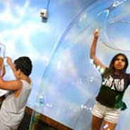 Museum of Nature and Science