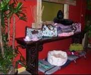 The Petropolitan Downtown Dallas Doggie Spa