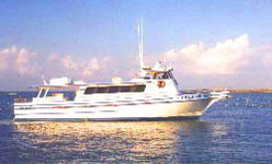 Deep Sea Headquarters Fishing Guides - Pelican