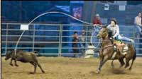 Rodeo in Bandera