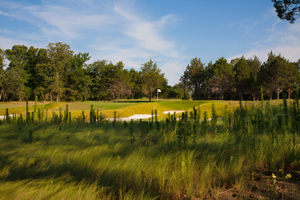 Lots of forced carries at Rock Creek