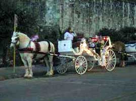 Carriage ride in San Antonio