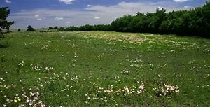 Clymer Meadow Preserve