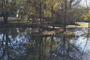 pond at Geronimo Creek