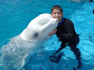 Petting the whale