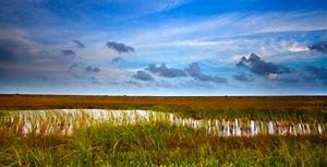 Mad Island Marsh Preserve