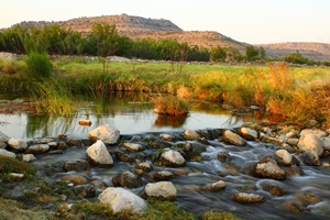 Independence Creek Preserve