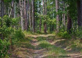 roy E. Larson Sandyland Sanctuary
