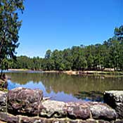 Bastrop State Park