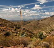 Franklin Mountains State Park