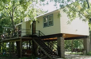 The Treehouse