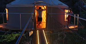 Cypress Valley Tree house