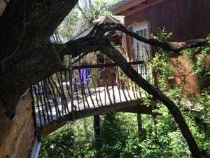 Savannah's Meadow Treehouse